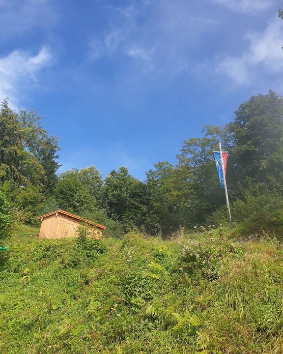 Kastensteinerwand Alm